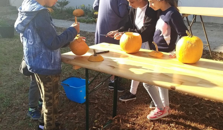 Zobraziť fotografiu