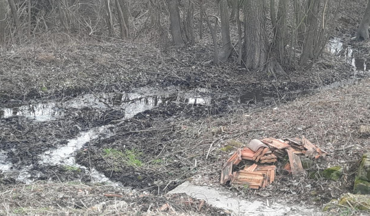 Zobraziť fotografiu